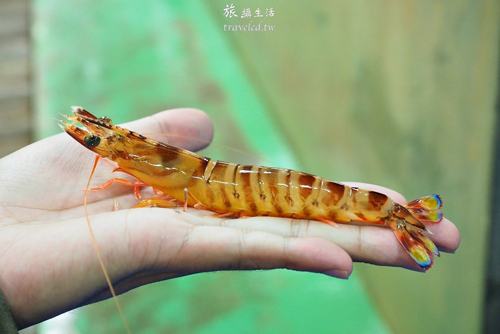 久米島旅行．車蝦養殖場見學